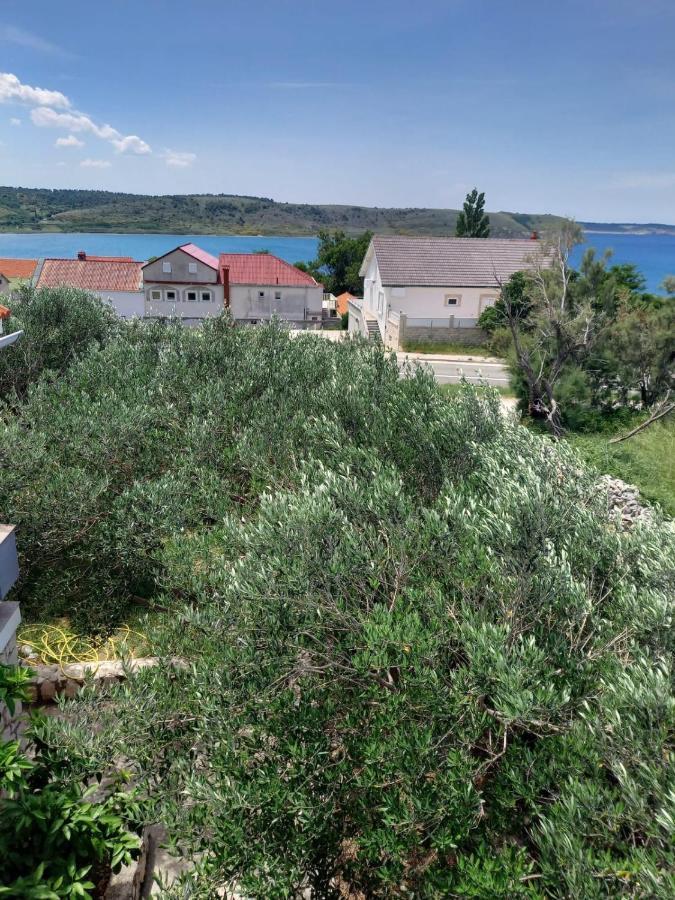 Apartmani Branka Rtina Dış mekan fotoğraf